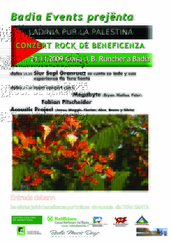 placatPalestina Kopie